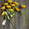 Translation missing: it.sections.featured_product.gallery_thumbnail_alt
