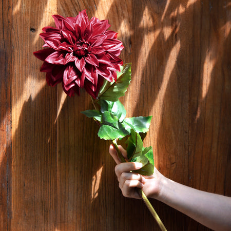 Hand holding one Merlot Red silk dahlia stem for scale against a wood backdrop