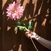 Translation missing: es.sections.featured_product.gallery_thumbnail_alt
