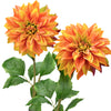 Amber Yellow Autumn Orange
