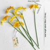 Translation missing: pt-PT.sections.featured_product.gallery_thumbnail_alt
