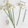 Translation missing: pt-PT.sections.featured_product.gallery_thumbnail_alt
