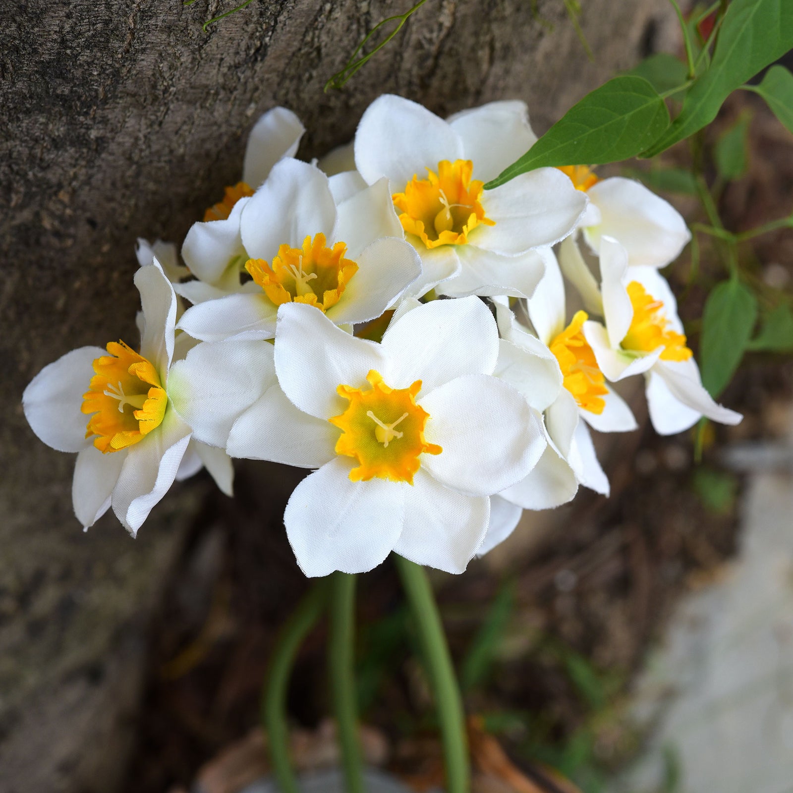 FiveSeasonStuff Yellow Daffodils Silk Artificial Flowers 12 Stems
