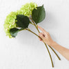Translation missing: es.sections.featured_product.gallery_thumbnail_alt
