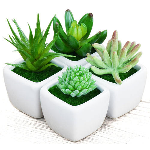 Set of 4 Mini Artificial Potted Green Succulent Plants/Faux Bonsai Aloe (Style A)