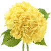 Translation missing: fr.sections.featured_product.gallery_thumbnail_alt
