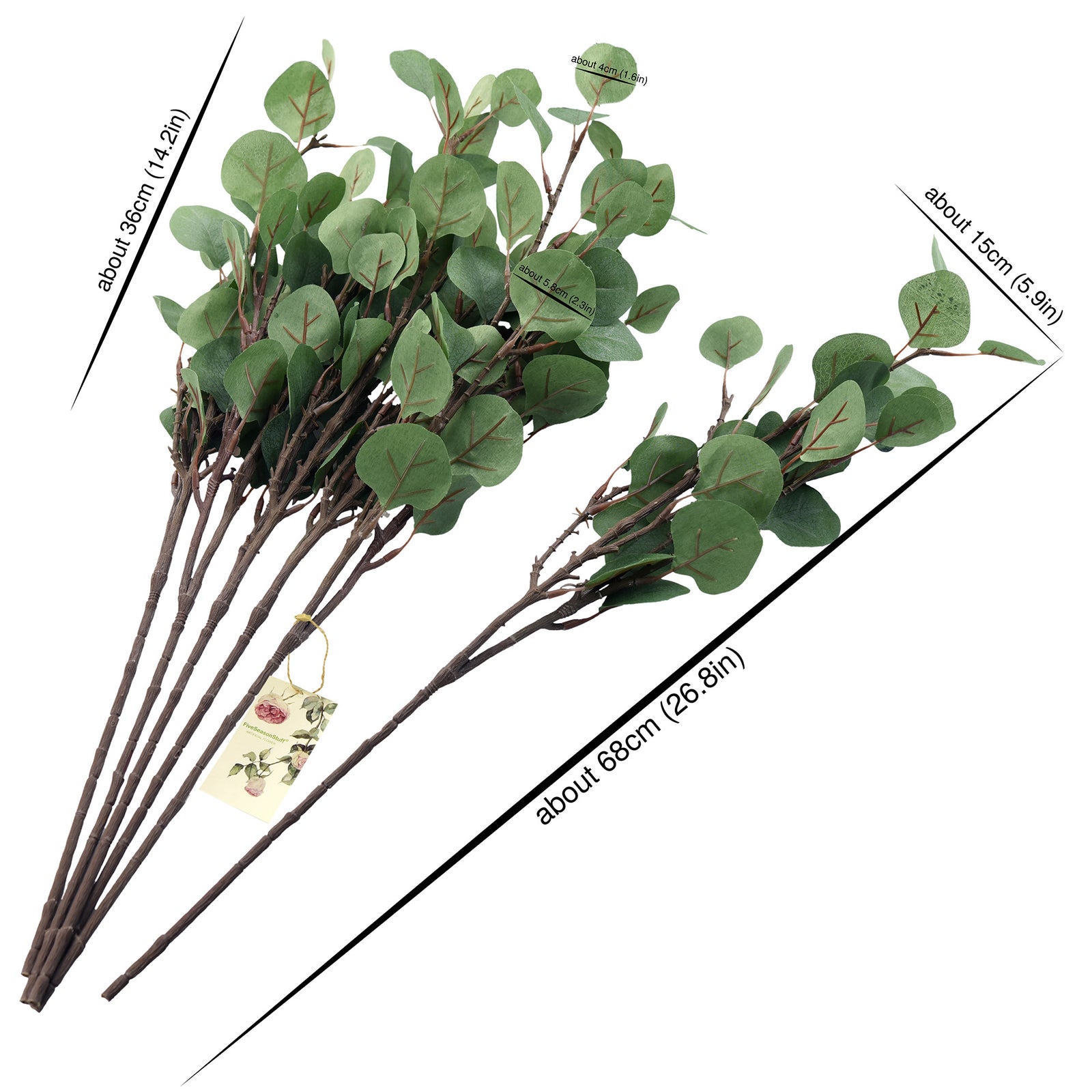 FiveSeasonStuff 6 Pcs Artificial Silver Dollar Eucalyptus Stems – Lifelike Greenery for Floral Arrangements, Home Décor, and Weddings (Long Stem)