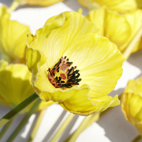 FiveSeasonStuff Yellow Real Touch Artificial Poppy Flowers Home Decoration Remembrance Day 10 Stems 12.6'' (32cm)