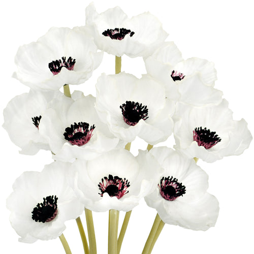 FiveSeasonStuff White Real Touch Artificial Poppy Flowers Remembrance Day Decorations 10 Stems 12.6'' (32cm)