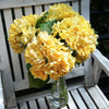 Translation missing: fr.sections.featured_product.gallery_thumbnail_alt
