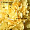 Translation missing: fr.sections.featured_product.gallery_thumbnail_alt
