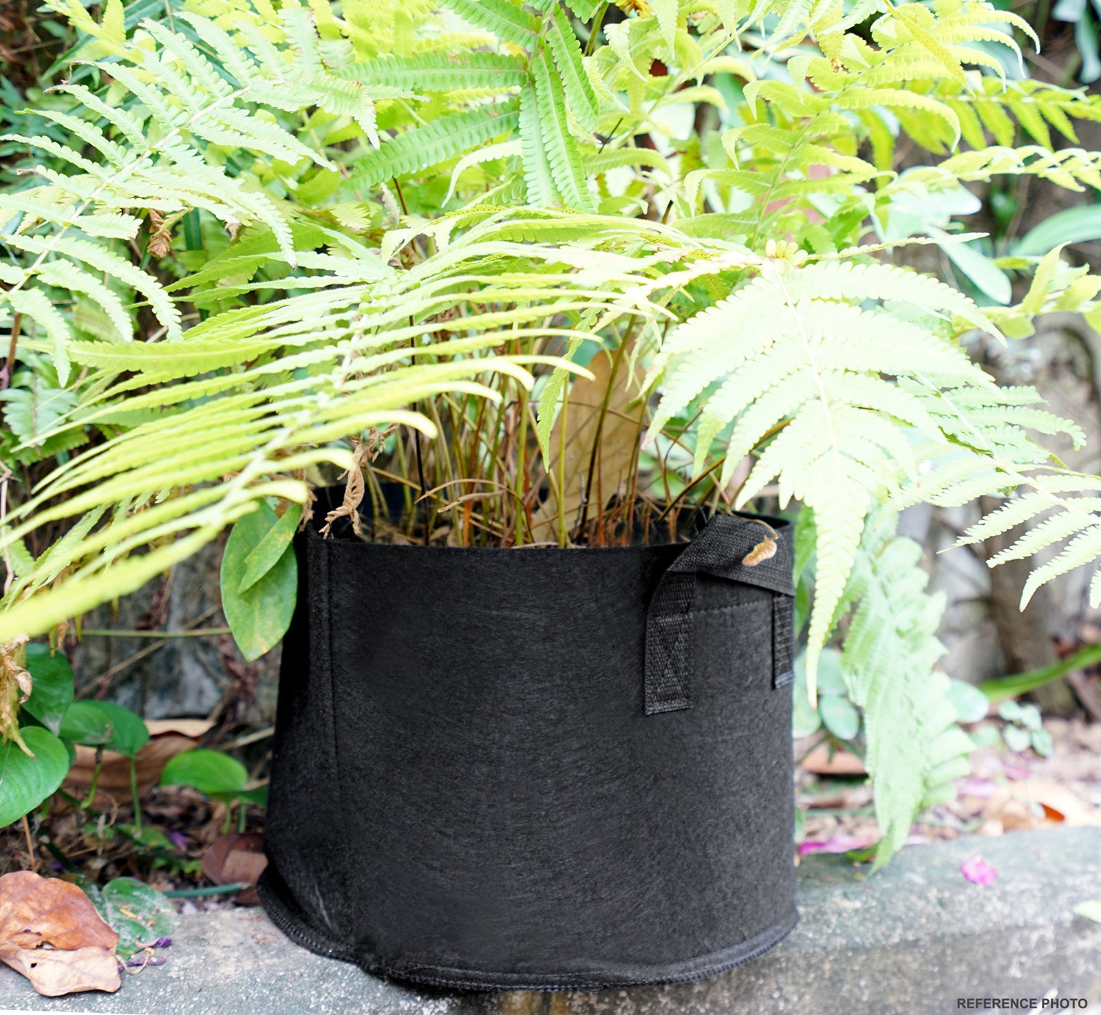 Black 10-gallon fabric grow bag shown in an additional product view for garden planting.