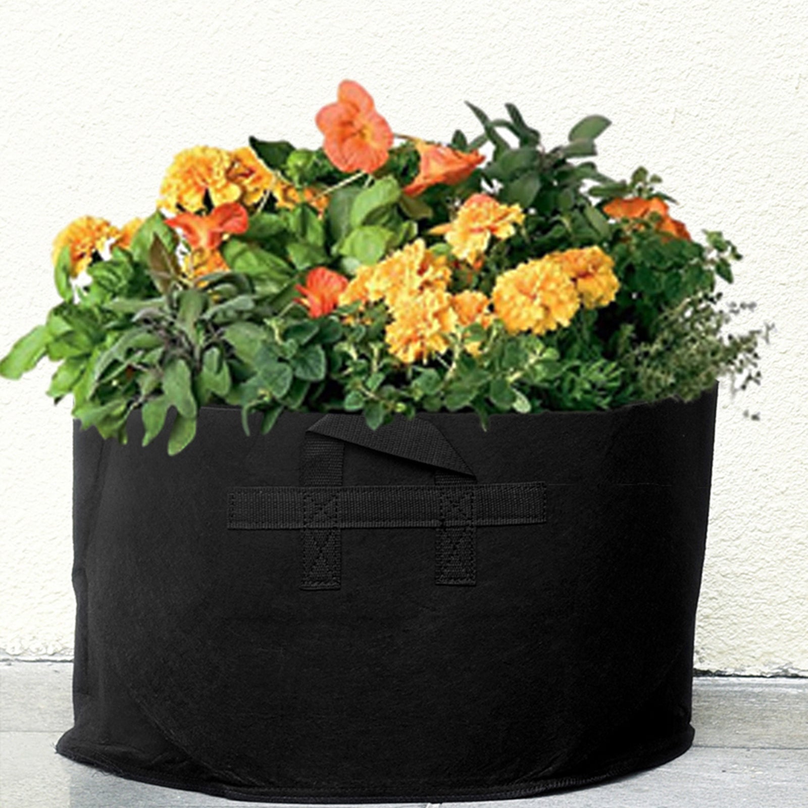 Black 15-gallon fabric grow bag shown in an additional product view for garden planting.