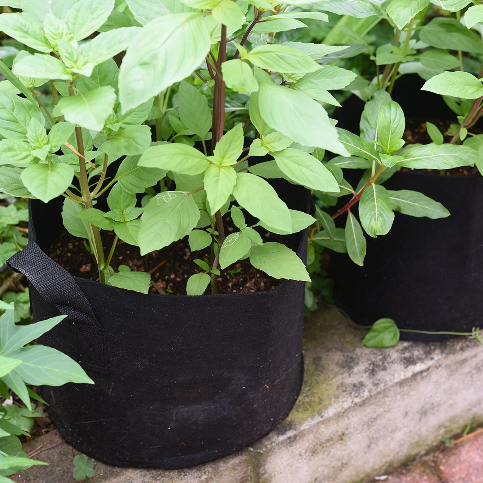 Black 18-gallon fabric grow bag product detail for patio, greenhouse or garden use.