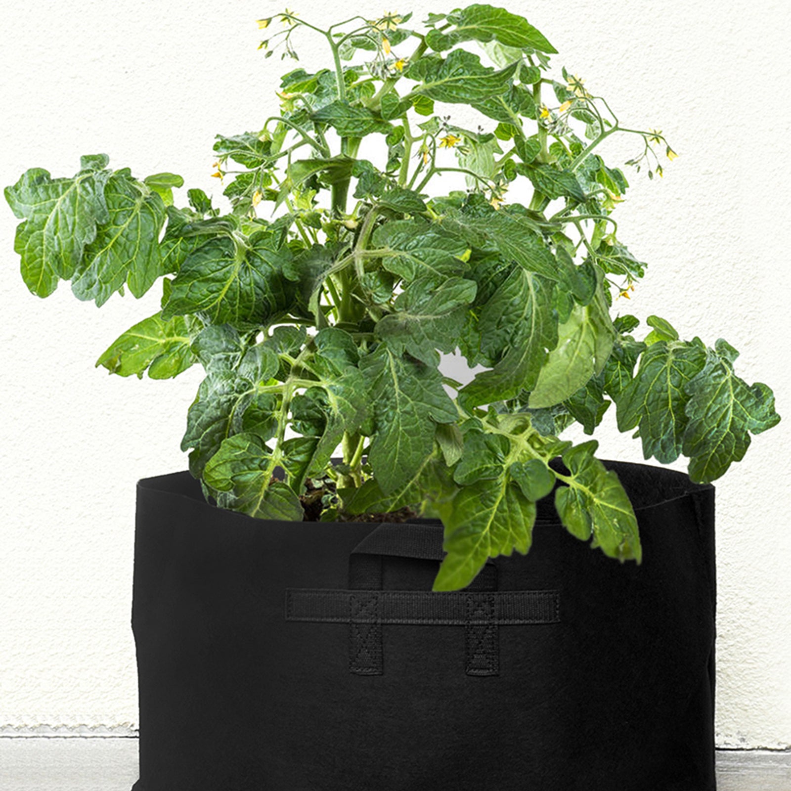 Black 18-gallon fabric grow bag shown in an additional product view for garden planting.