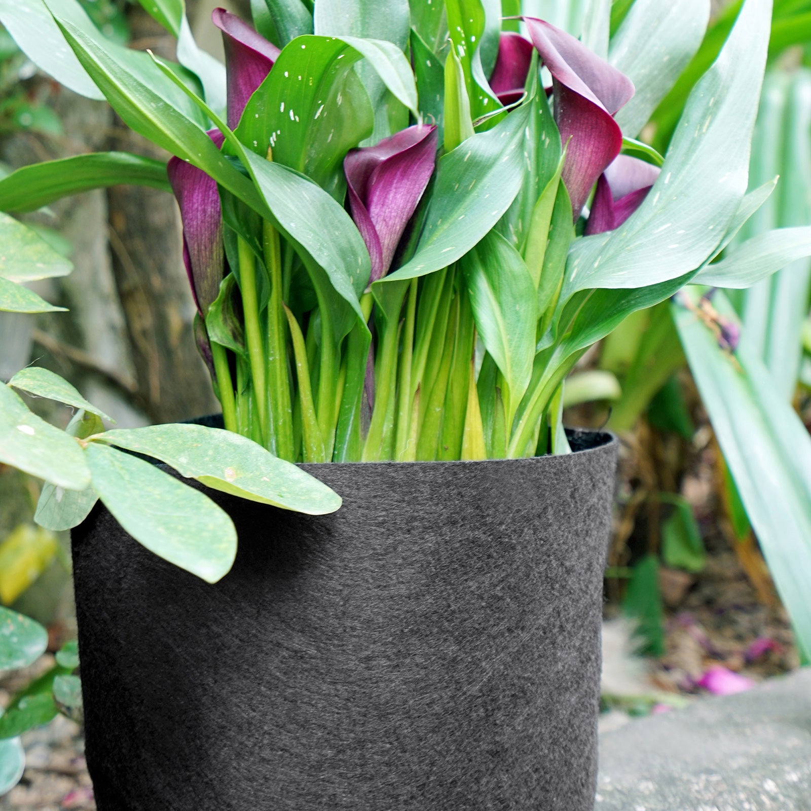 Black 2-gallon fabric grow bag shown in an additional product view for garden planting.