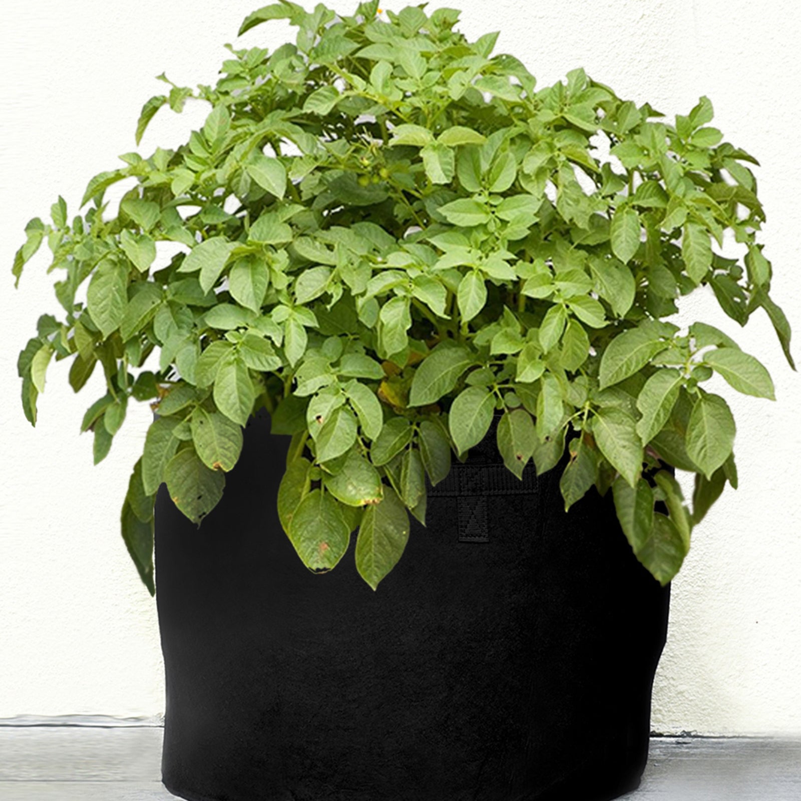 Black 20-gallon fabric grow bag shown in an additional product view for garden planting.