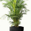 Translation missing: es.sections.featured_product.gallery_thumbnail_alt
