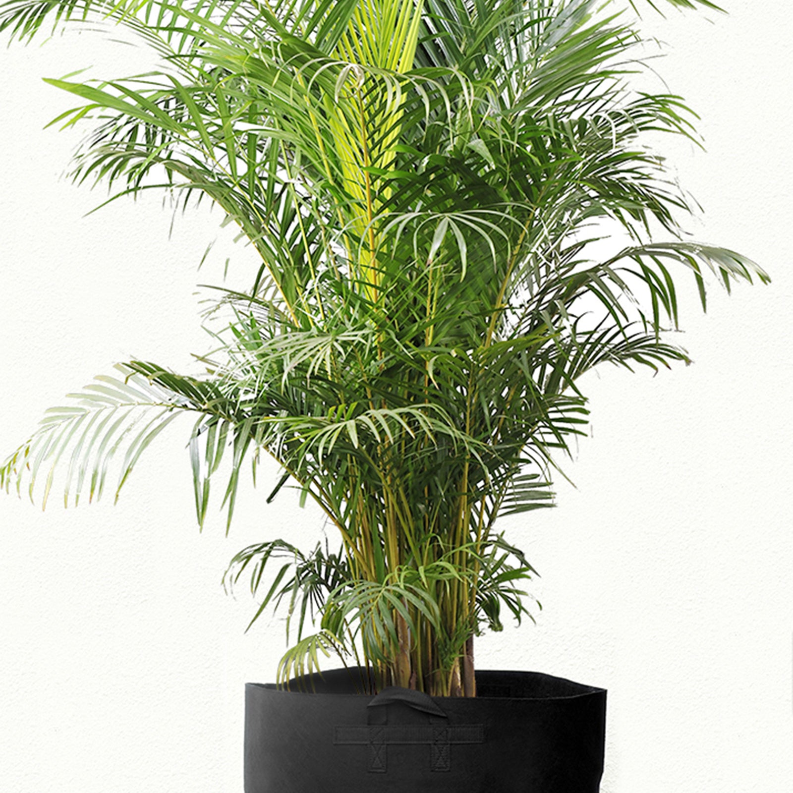 Black 25-gallon fabric grow bag shown in an additional product view for garden planting.
