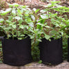 Translation missing: es.sections.featured_product.gallery_thumbnail_alt
