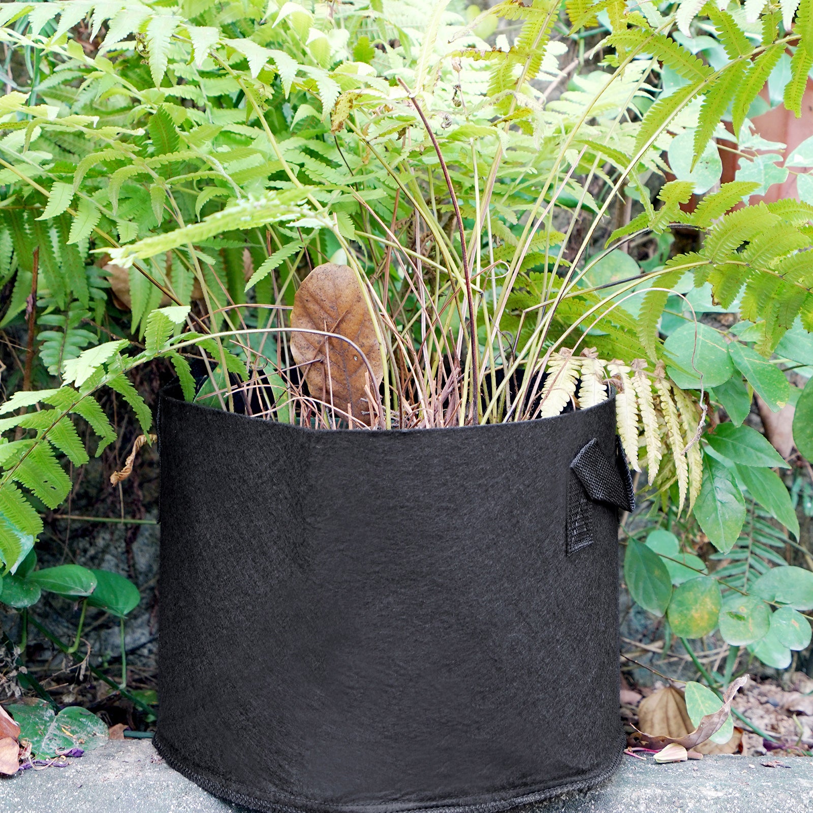 Black 7-gallon fabric grow bag shown in an additional product view for garden planting.