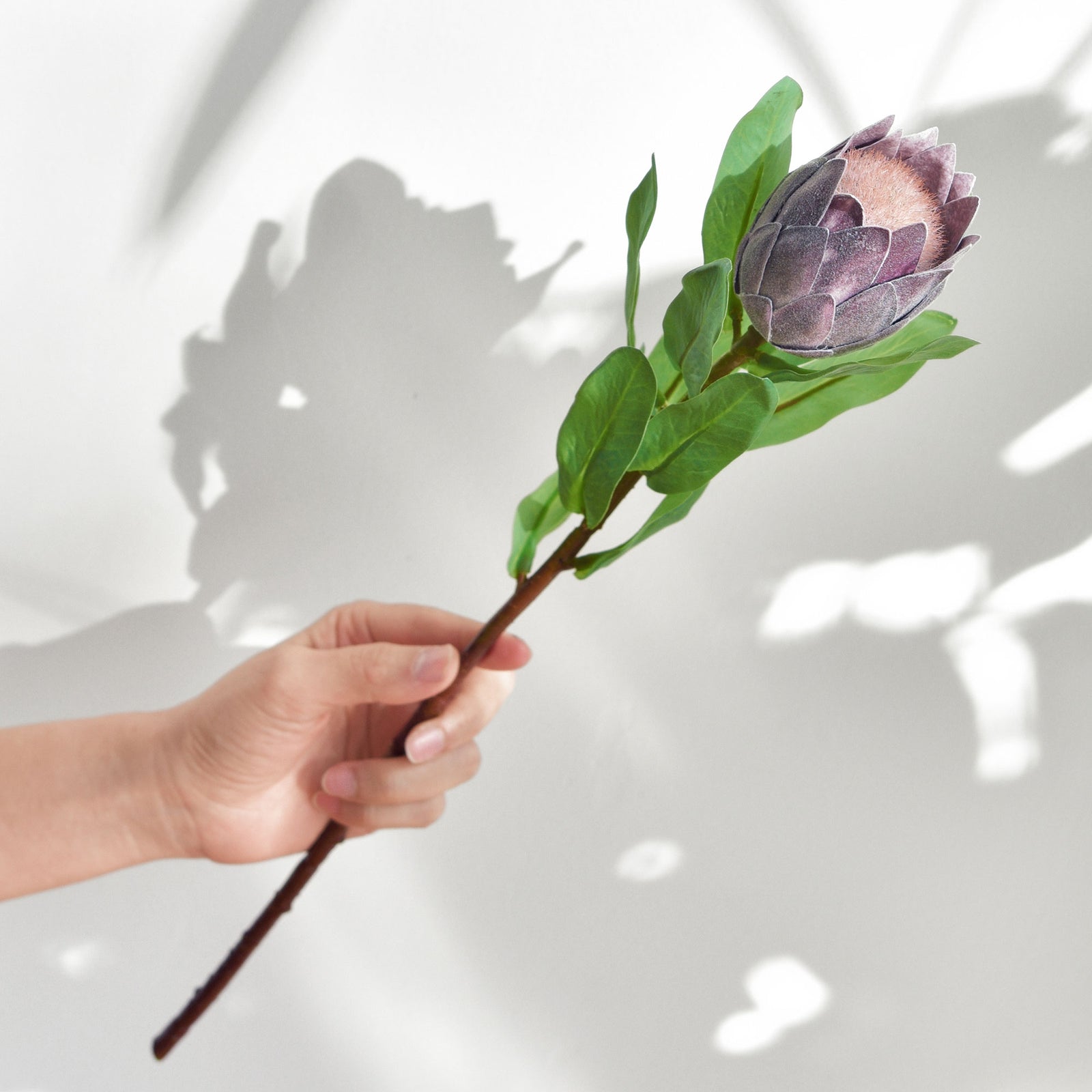 Dusty plum artificial baby protea flowers shown in an additional detail view.