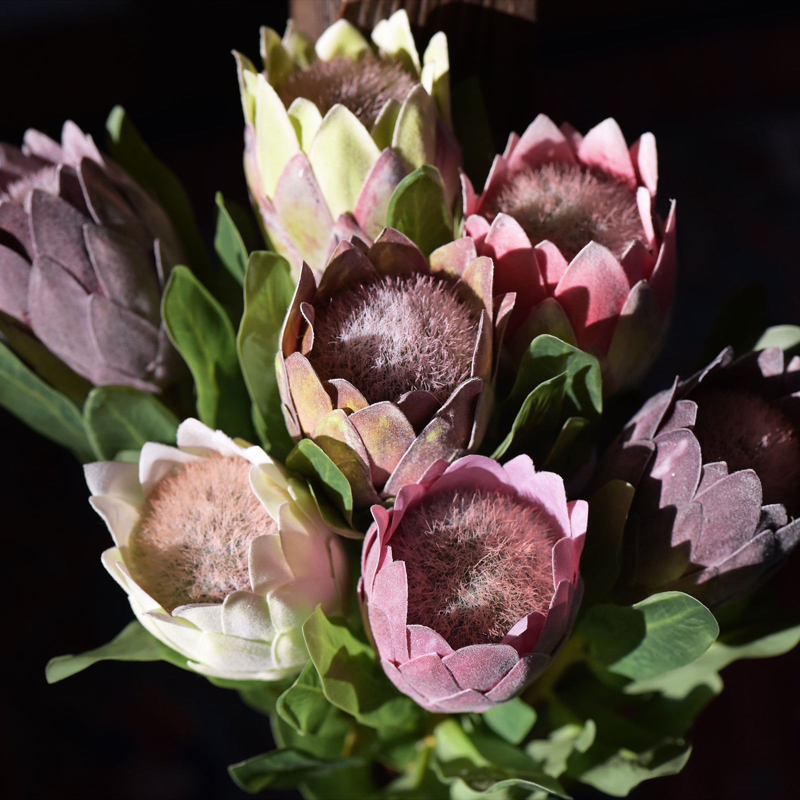 Dusty plum artificial baby protea flowers shown in a final product view.