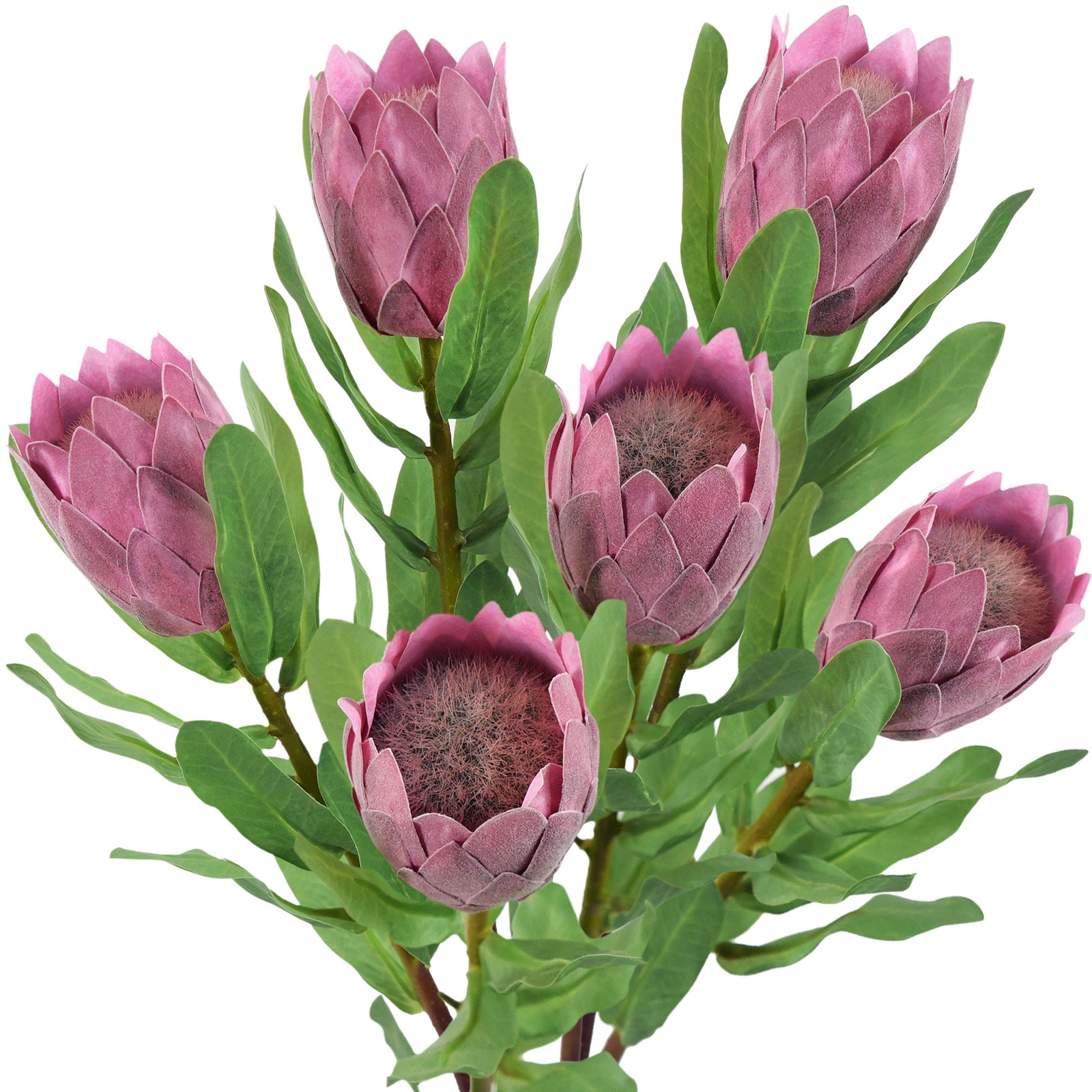 Dusty rose pink artificial protea stems shown together with compact flower heads and green stems.