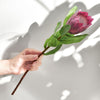 Translation missing: fr.sections.featured_product.gallery_thumbnail_alt
