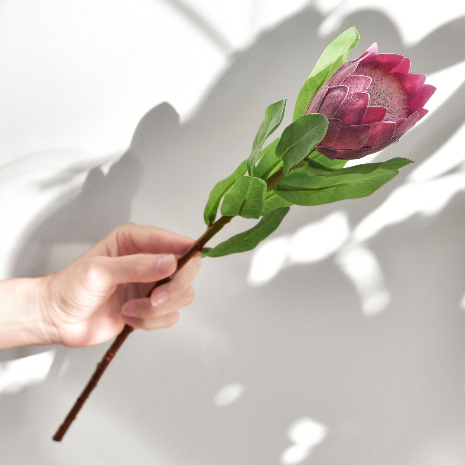Dusty rose pink artificial protea stems shown for botanical arrangement styling.