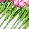 Translation missing: es.sections.featured_product.gallery_thumbnail_alt
