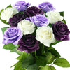 Dark Purple | White