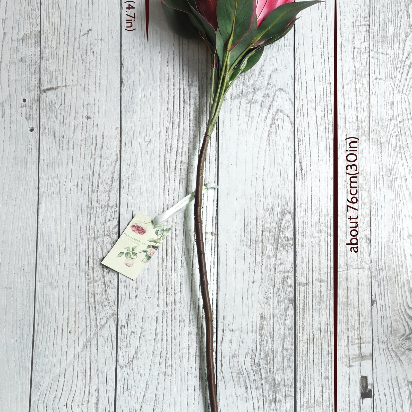 Bulgarian Rose Red King Protea Silk Tropical Artificial Flowers 2.5 feet Tall 1 Stem