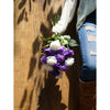 Translation missing: nl.sections.featured_product.gallery_thumbnail_alt
