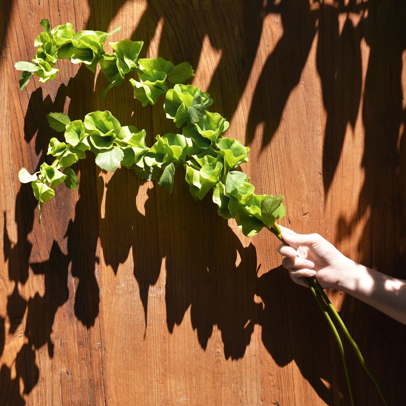 Artificial Bells of Ireland stems showing tall green floral clusters.