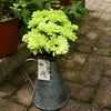 Translation missing: fr.sections.featured_product.gallery_thumbnail_alt
