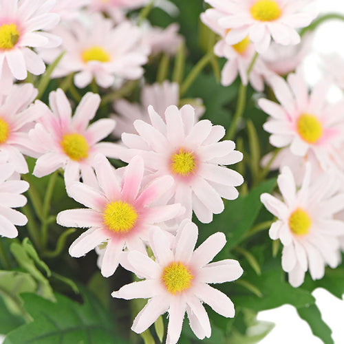 Lemonade Pink artificial daisy bunch shown in an alternate product view for vase styling.