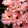 Translation missing: fr.sections.featured_product.gallery_thumbnail_alt
