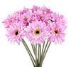 Magenta Pink