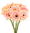 Orange Pink