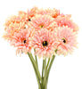 Orange Pink