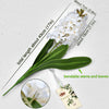 Translation missing: fr.sections.featured_product.gallery_thumbnail_alt
