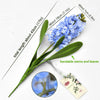 Translation missing: pt-PT.sections.featured_product.gallery_thumbnail_alt

