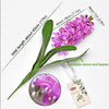 Translation missing: pt-PT.sections.featured_product.gallery_thumbnail_alt
