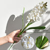 Translation missing: fr.sections.featured_product.gallery_thumbnail_alt
