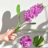 Translation missing: pt-PT.sections.featured_product.gallery_thumbnail_alt

