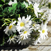 Translation missing: nl.sections.featured_product.gallery_thumbnail_alt
